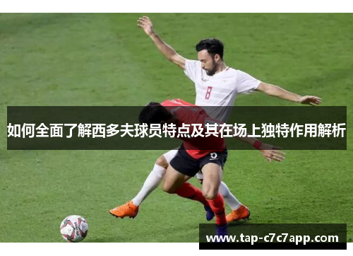 如何全面了解西多夫球员特点及其在场上独特作用解析