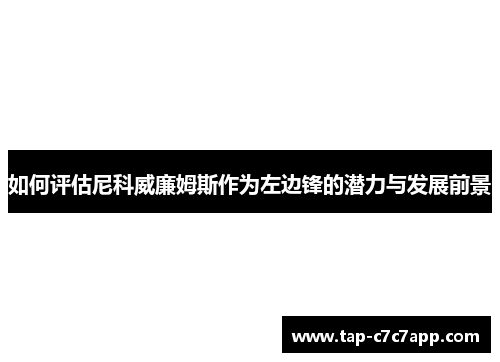 如何评估尼科威廉姆斯作为左边锋的潜力与发展前景