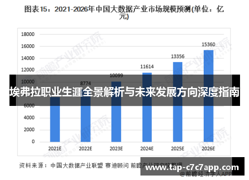 埃弗拉职业生涯全景解析与未来发展方向深度指南