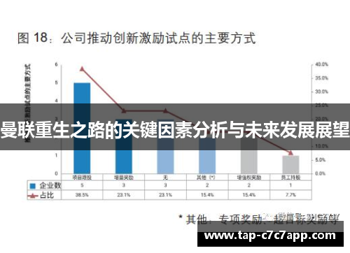 曼联重生之路的关键因素分析与未来发展展望