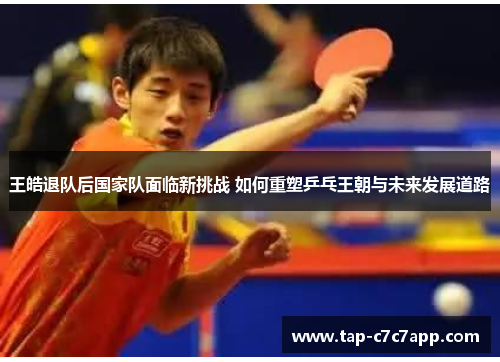 王皓退队后国家队面临新挑战 如何重塑乒乓王朝与未来发展道路 王皓退队后国家队面临新挑战 如何重塑乒乓王朝与未来发展道路