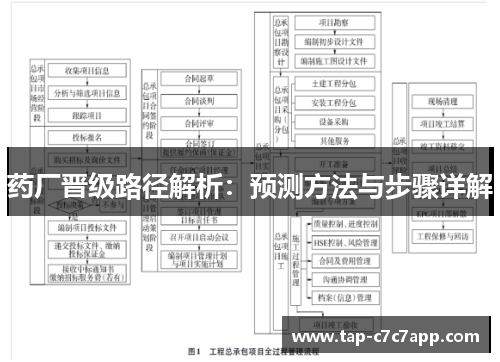药厂晋级路径解析：预测方法与步骤详解