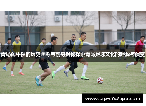 青岛海牛队的历史渊源与前身揭秘探索青岛足球文化的起源与演变 青岛海牛队的历史渊源与前身揭秘探索青岛足球文化的起源与演变