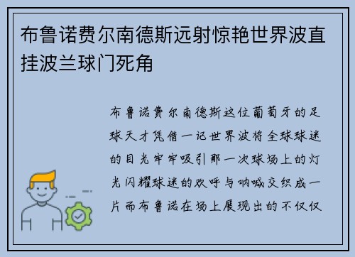 布鲁诺费尔南德斯远射惊艳世界波直挂波兰球门死角